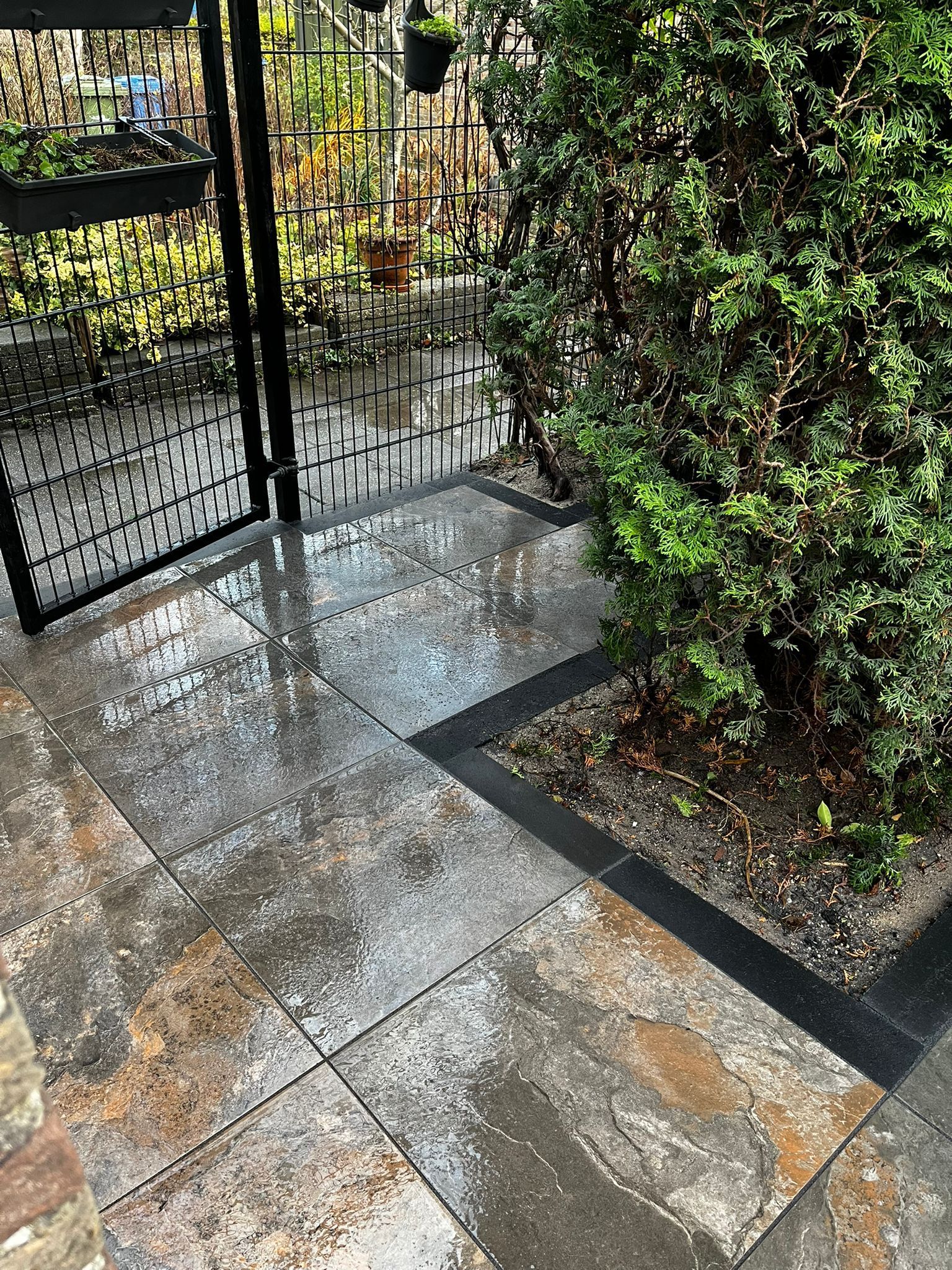 Een terras van natte stenen met een struik aan de rechterkant en een decoratief metalen hek op de achtergrond.