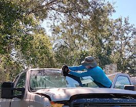 Ford F150 Windshield Replacement- Tarpon Springs, FL — Integrity Auto Glass, LLC