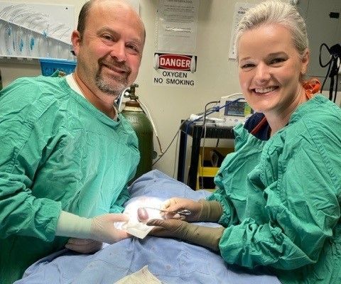 Veterinarian in blue scrubs uses a medical device on a hairless cat lying on a table in a clinic.