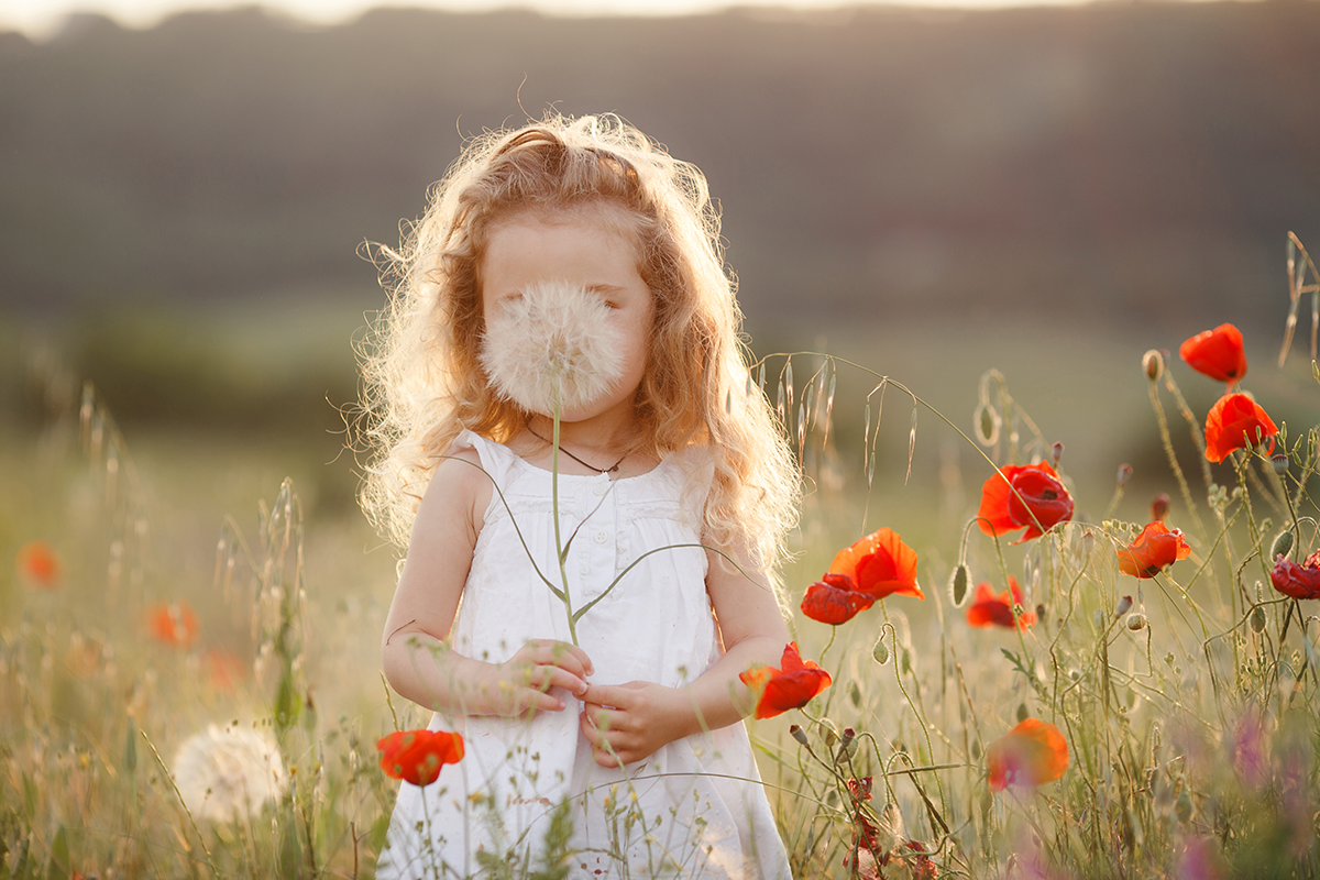 Child in white dress holding flower, standing in field with poppies and dandelions.