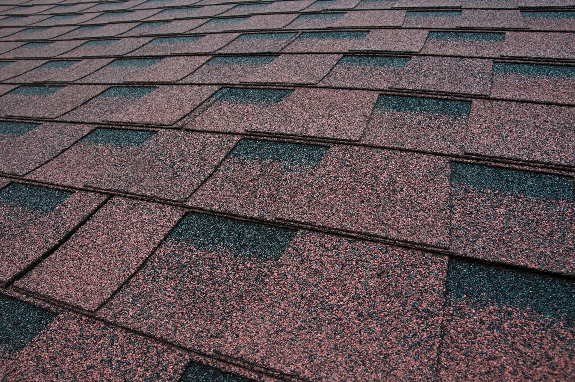 Close-up of a brown asphalt shingle roof.