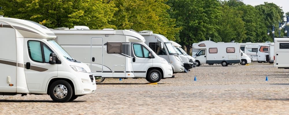 Row of white RVs parked on a gravel lot next to a line of green trees.