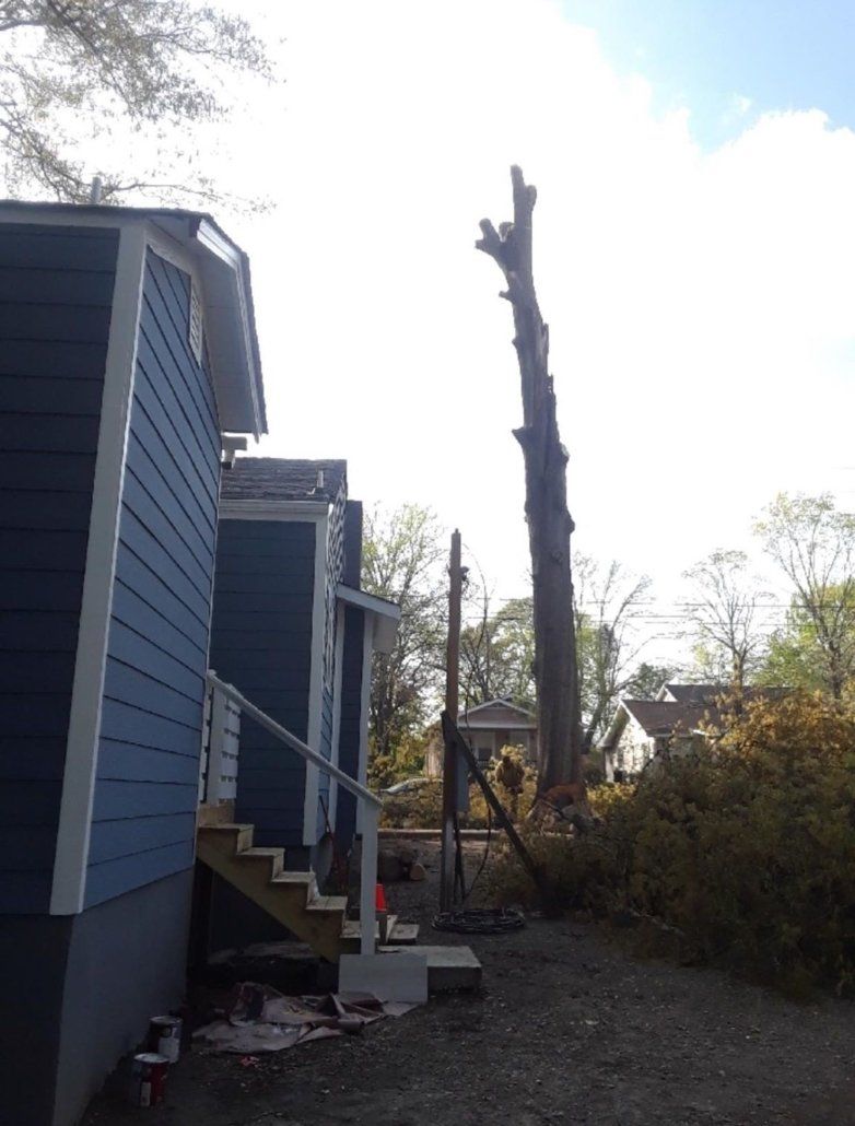 Emergency Tree Removal in Jasper, TN | Fox's Precision Tree Service