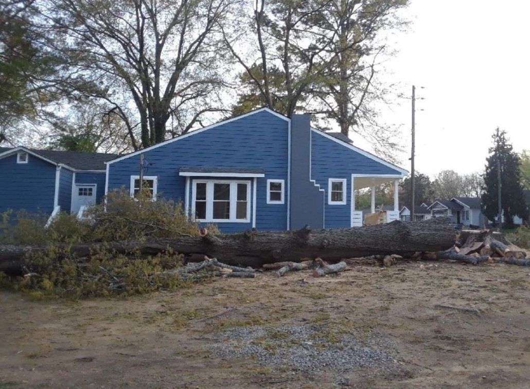 Land Clearing in Jasper, TN | Fox's Precision Tree Service