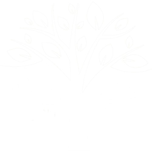 Tree Service in Jasper, TN | Fox's Precision Tree Service