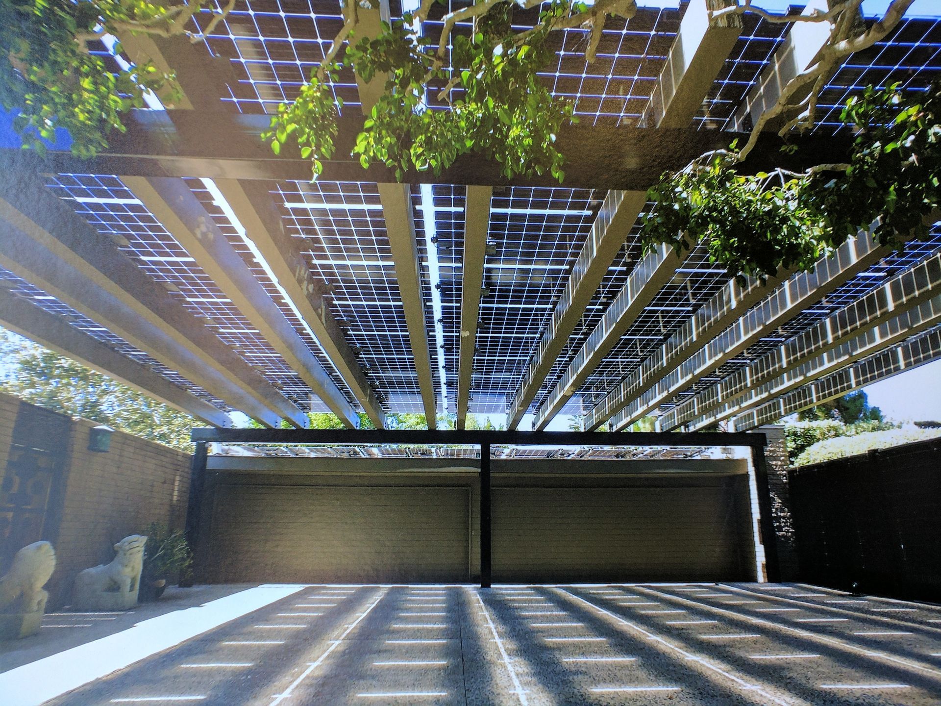 Looking up at a pergola with solar panels on it