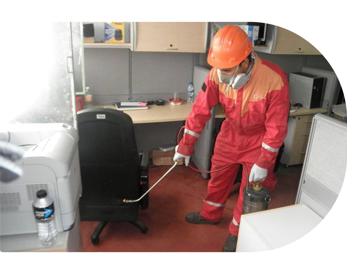 EXTERMINIO DE PLAGAS