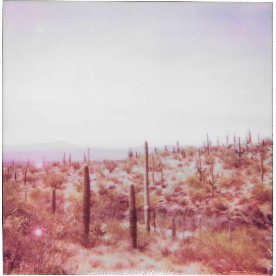 polaroid photograph of vintage muted tone desert landscape with saguaro cacti and expansive sky