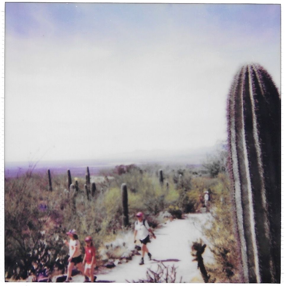 polaroid photograph by Amy Harrison of Polaroids & Poetry