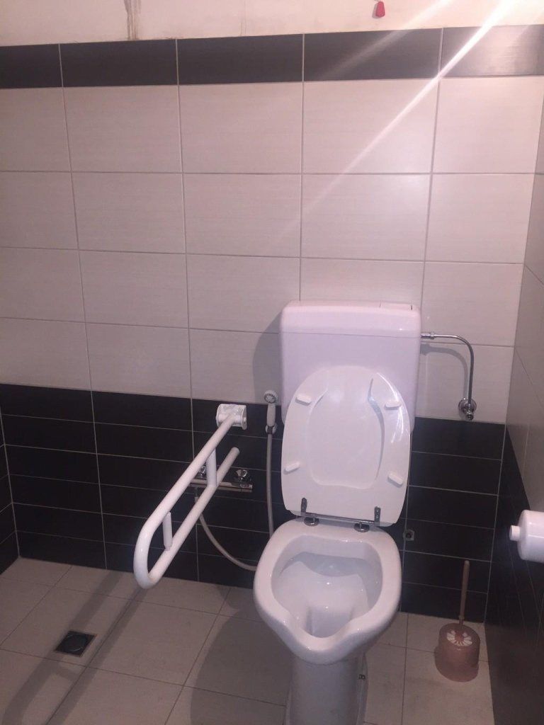 Un bagno con un water e un corrimano