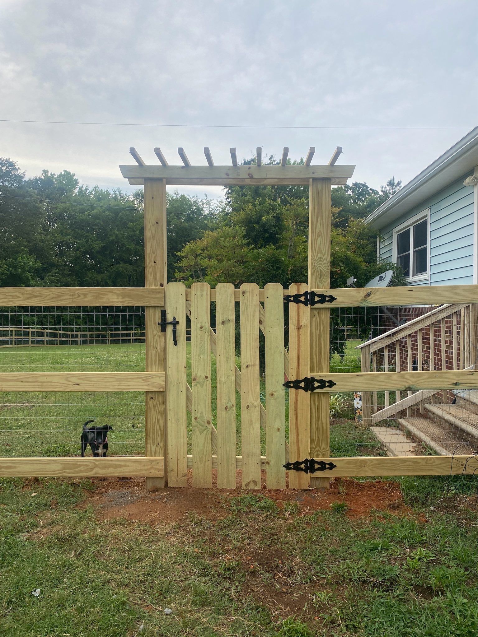 Wooden fence with a gate and arbor; a small black cat stands near the gate.