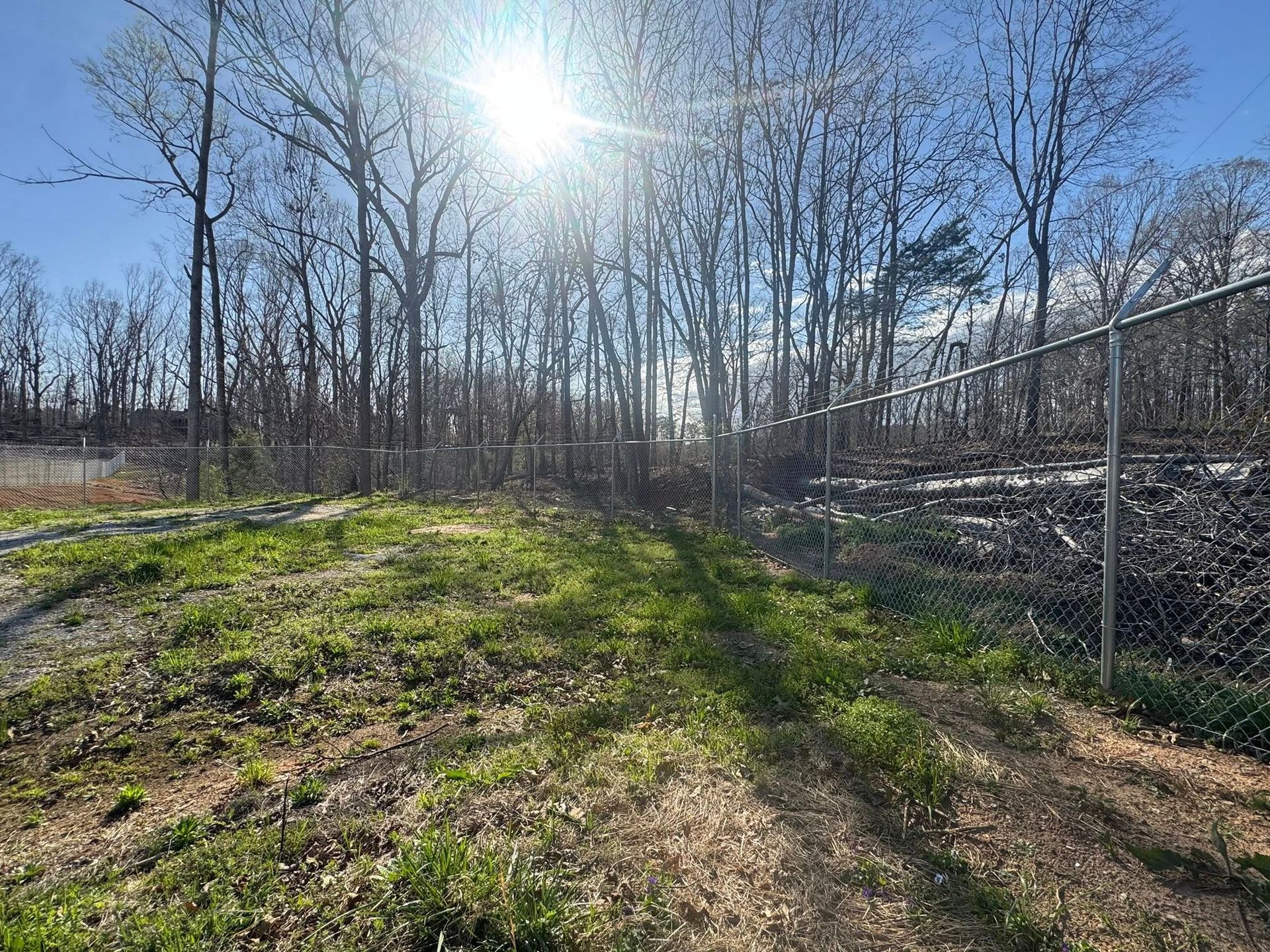 Bright sun over a grassy area with a chain-link fence and bare trees. Shadows stretch across the ground.
