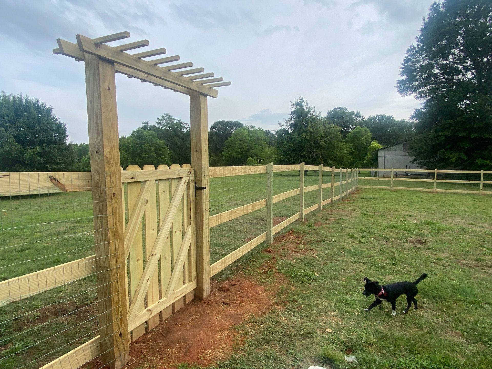 A wooden fence with a gate and an arbor. A small black dog runs through the grass.