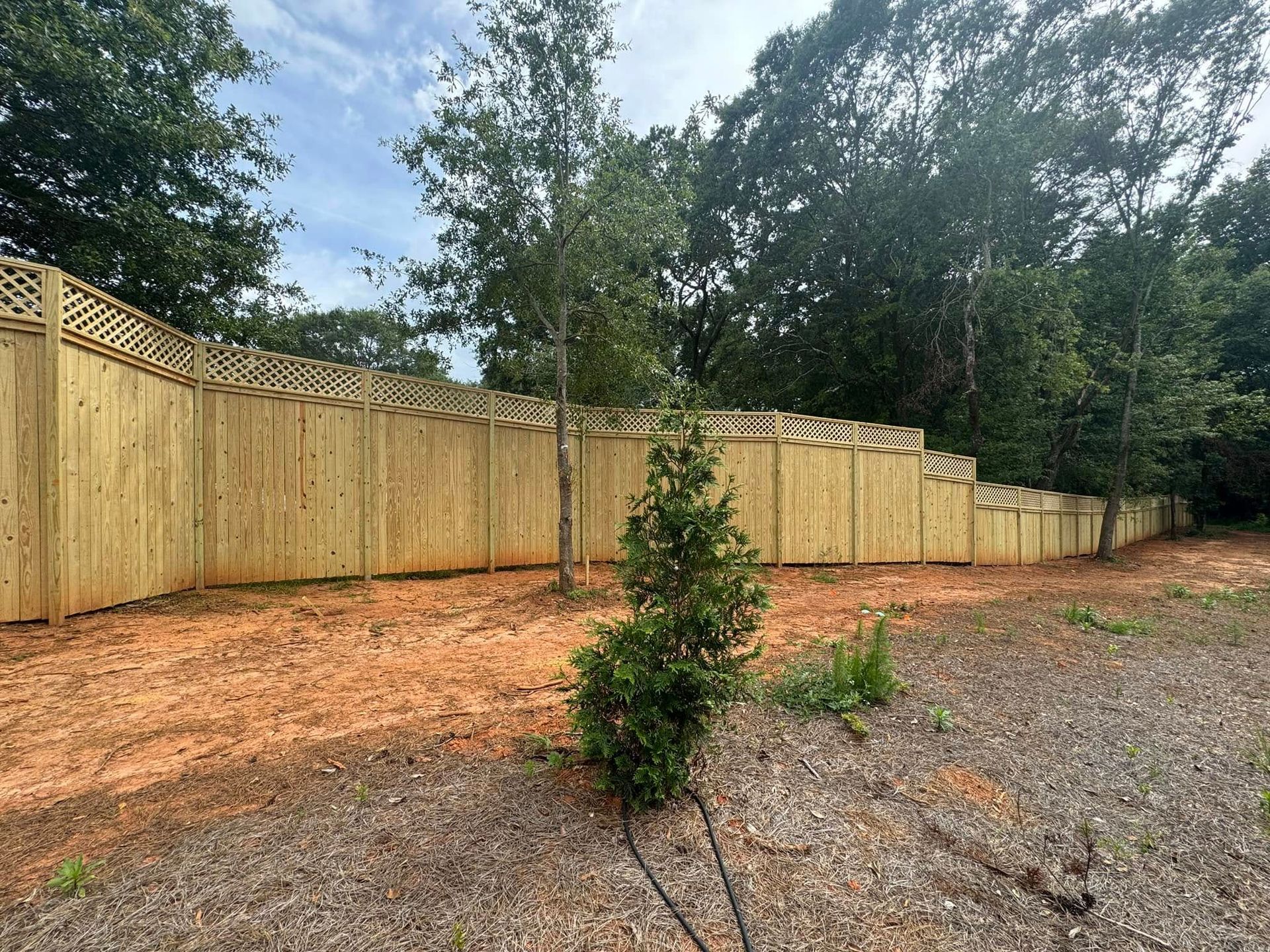 A new wooden fence with lattice tops lines a dirt yard, surrounded by trees under a cloudy sky.