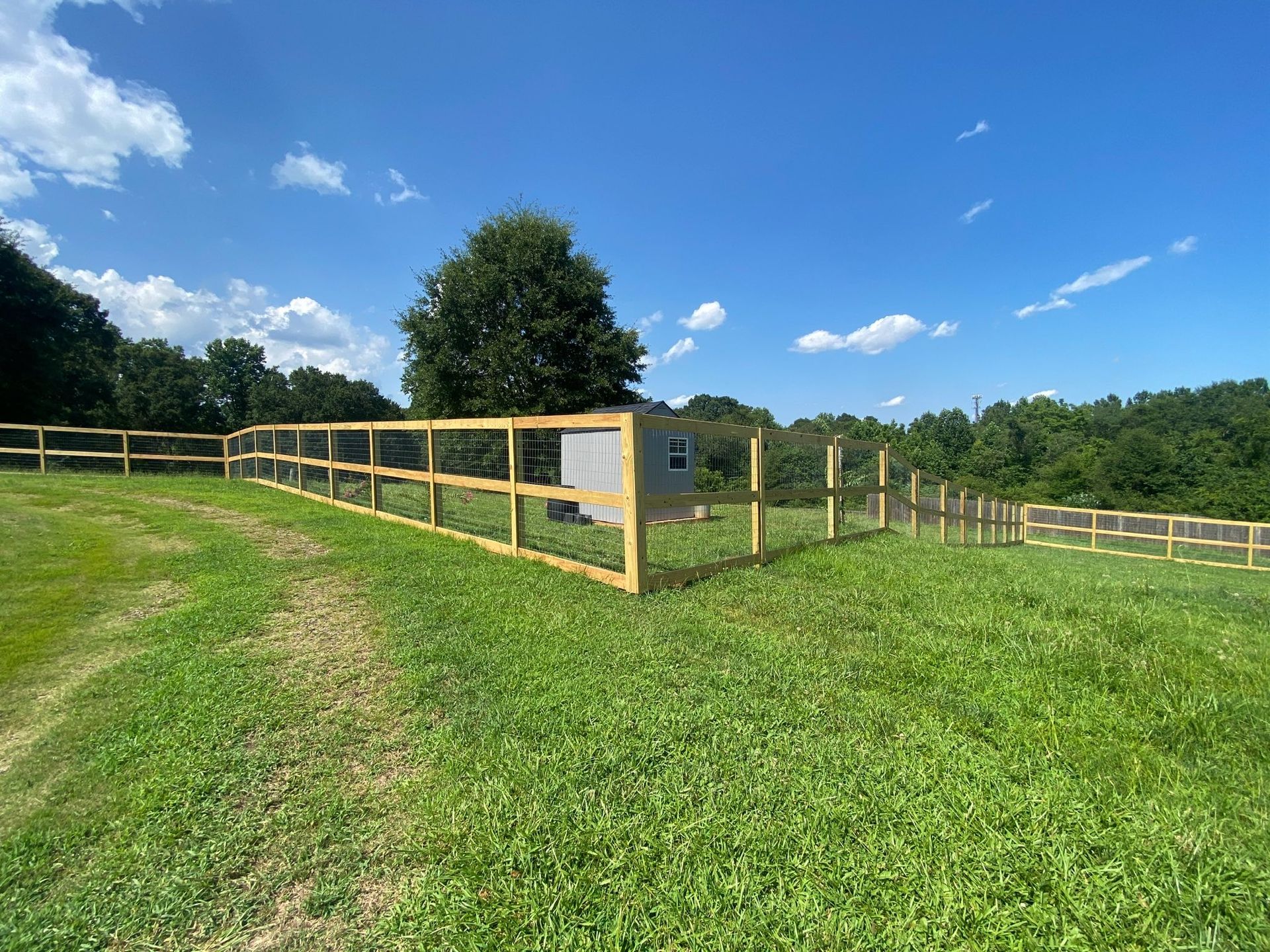 A wooden fence encloses a grassy yard, with a small shed-like structure inside, under a blue sky.