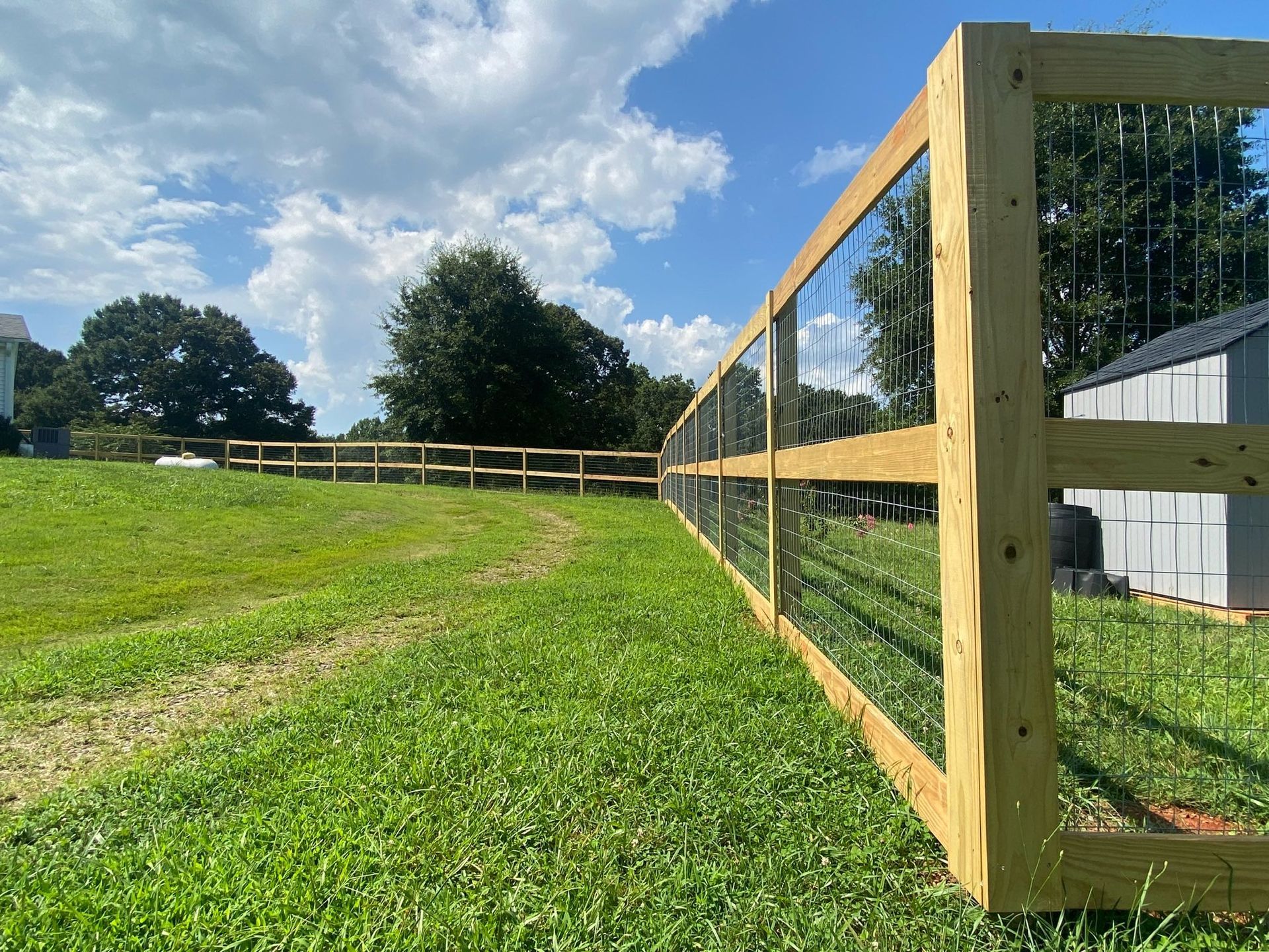 A wooden fence with wire mesh, in a grassy yard on a sunny day. Part of a house and trees are in the background.