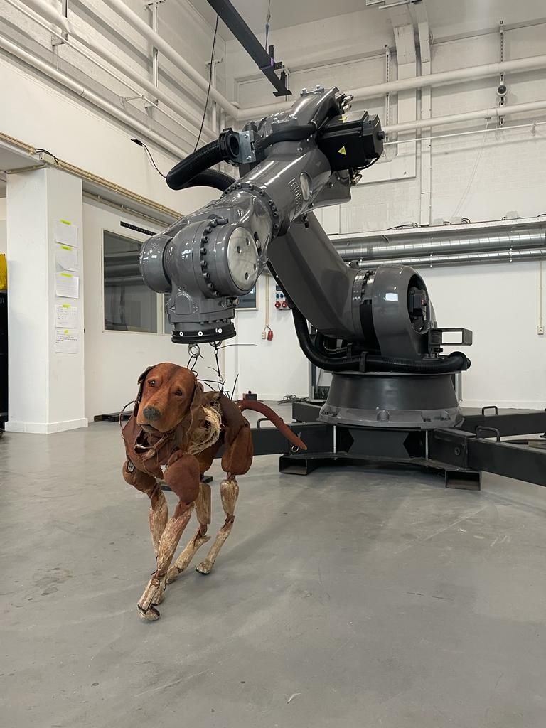 Tekst dans, tekst mime,