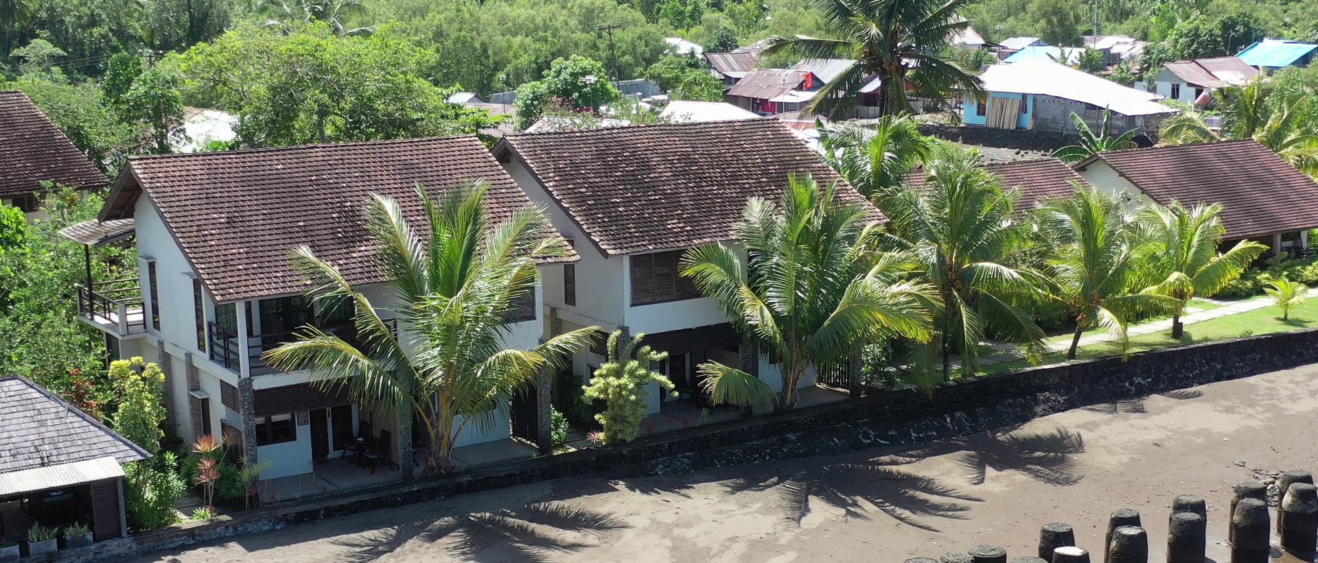 An aerial view of a tropical village with houses and palm trees