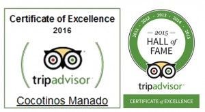 A tripadvisor certificate of excellence for cocotinos manado