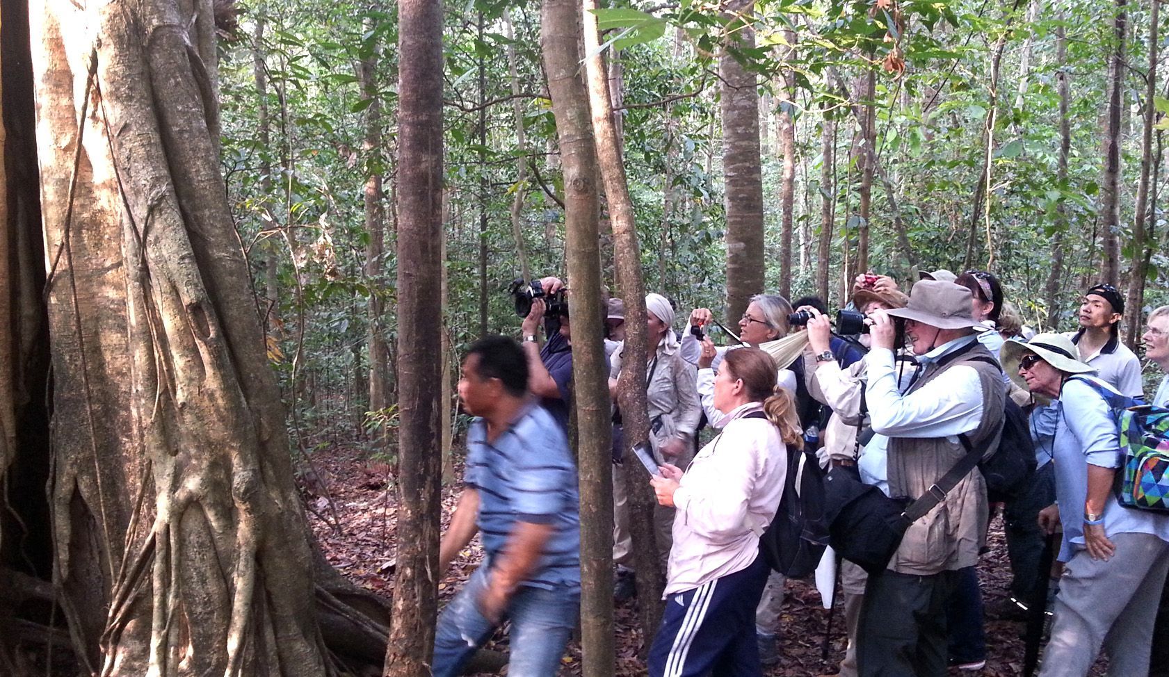 A group of people are standing in the woods taking pictures
