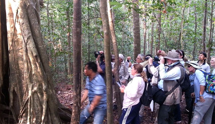 A group of people are standing in the woods taking pictures