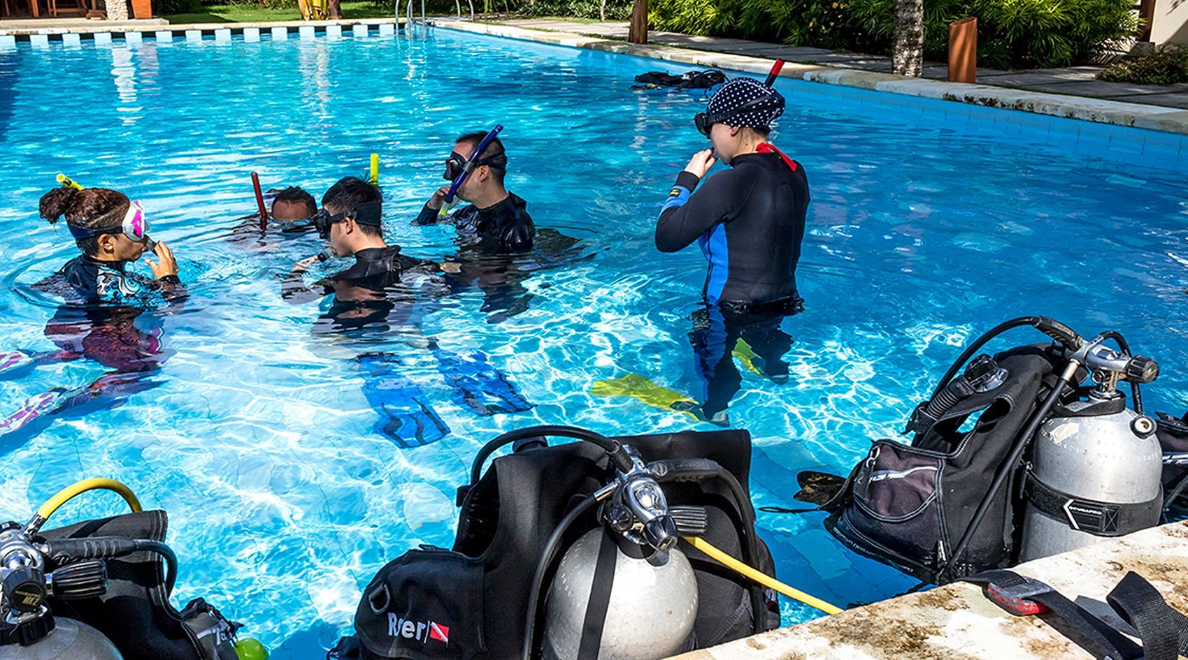 A group of people are swimming in a swimming pool.