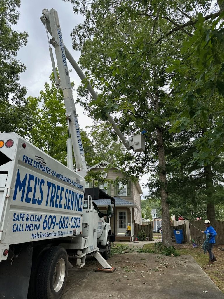 Worker on Truck Lift Cutting Trees — Lindenwold, NJ — Mel's Tree Service LLC