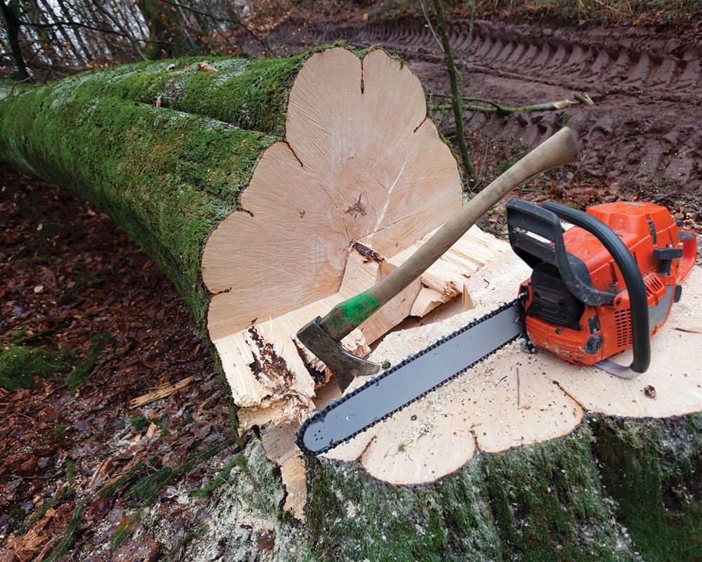 Cut Down Tree with a Saw — Lindenwold, NJ — Mel's Tree Service LLC