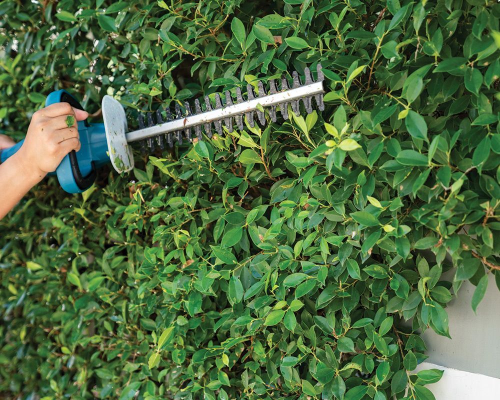 Garden Scissors Trimming Green Hedges — Lindenwold, NJ — Mel's Tree Service LLC
