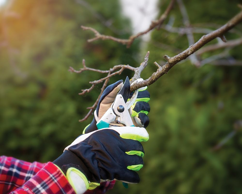 Gardener with Scissors — Lindenwold, NJ — Mel's Tree Service LLC
