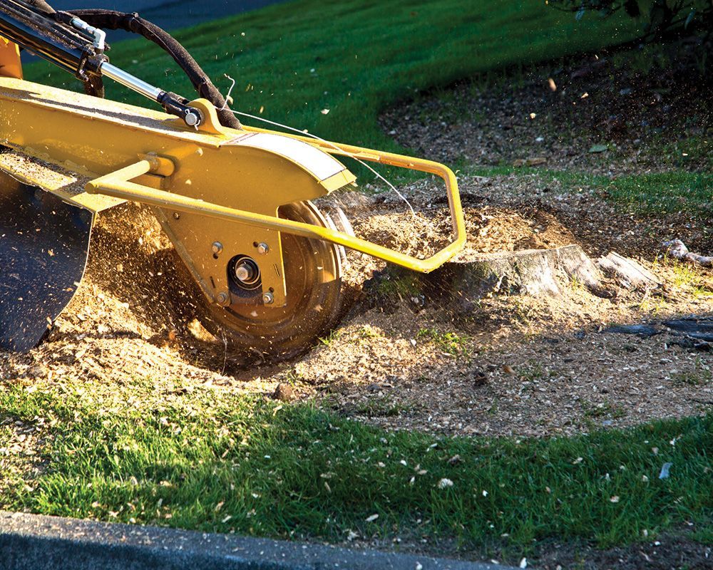 Tree Stump Grinding — Lindenwold, NJ — Mel's Tree Service LLC