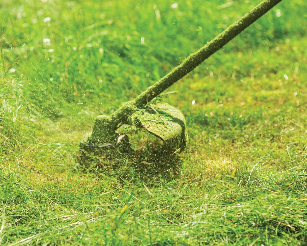 Lawn Mower — Lindenwold, NJ — Mel's Tree Service LLC