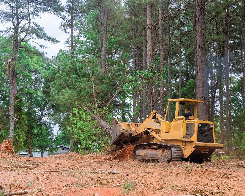 Tractor Skid Steers to Remove Trees — Lindenwold, NJ — Mel's Tree Service LLC