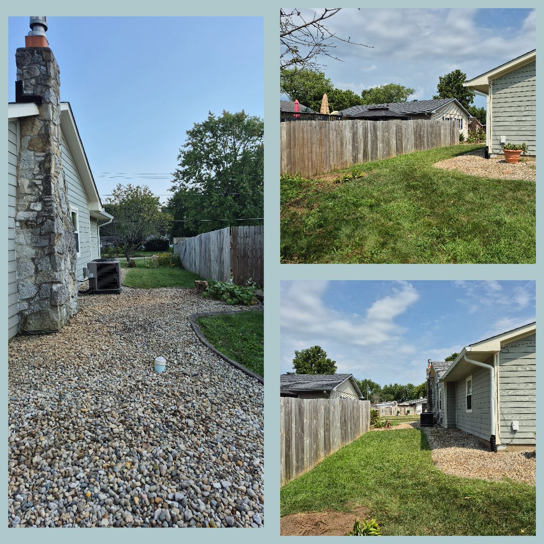 After Overgrowth Removal