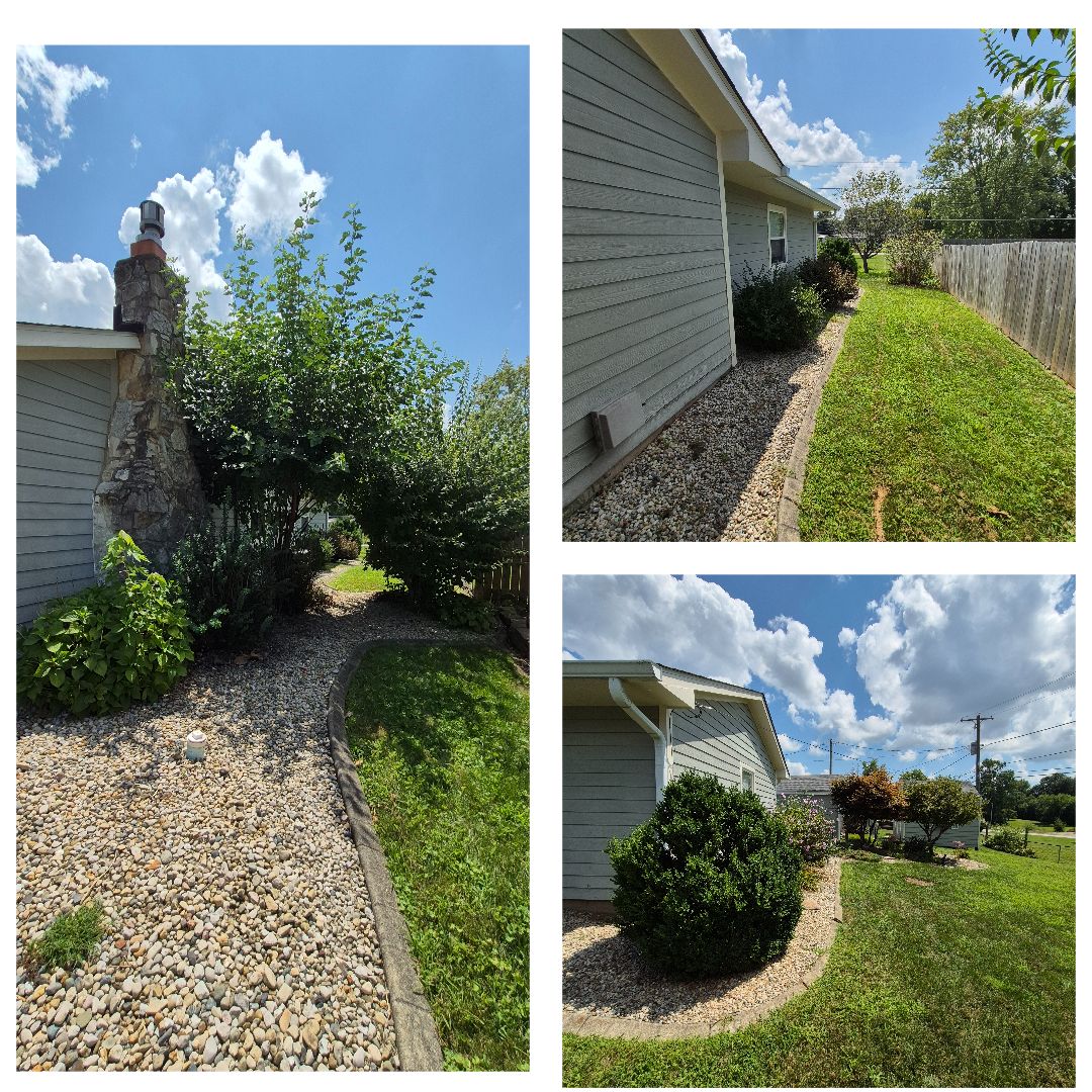 Before Overgrowth Removal