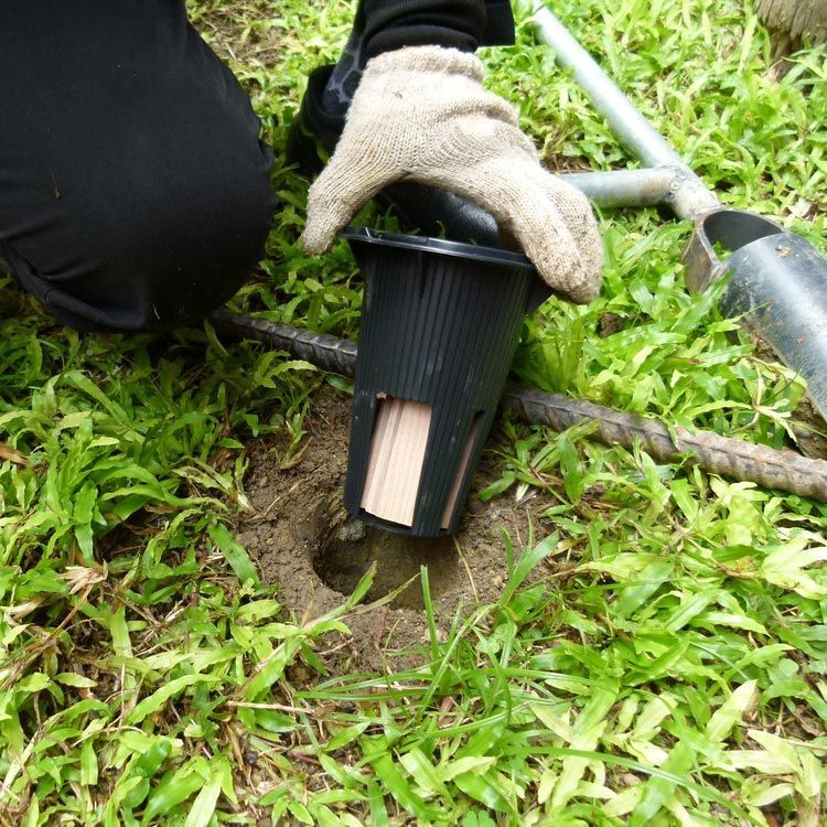 Hole in the Ground for Termite Bait — Above the Rest Pest Solutions in Wagga Wagga, NSW