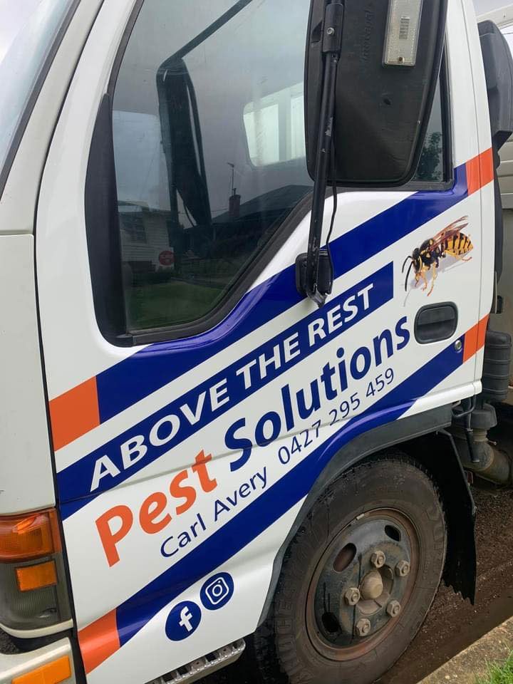 Pest Solutions Home Service — Above the Rest Pest Solutions in Wagga Wagga, NSW