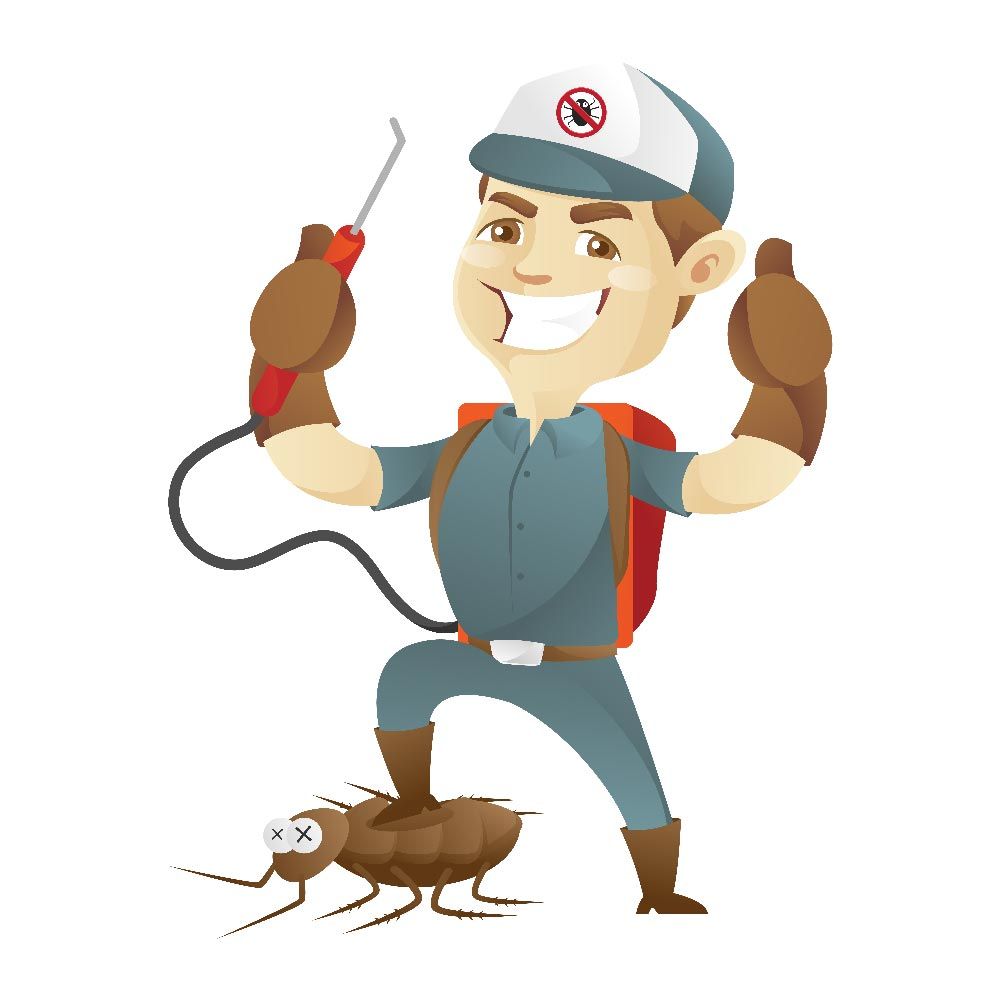 Professional Pest Control Service — Above the Rest Pest Solutions in Wagga Wagga, NSW