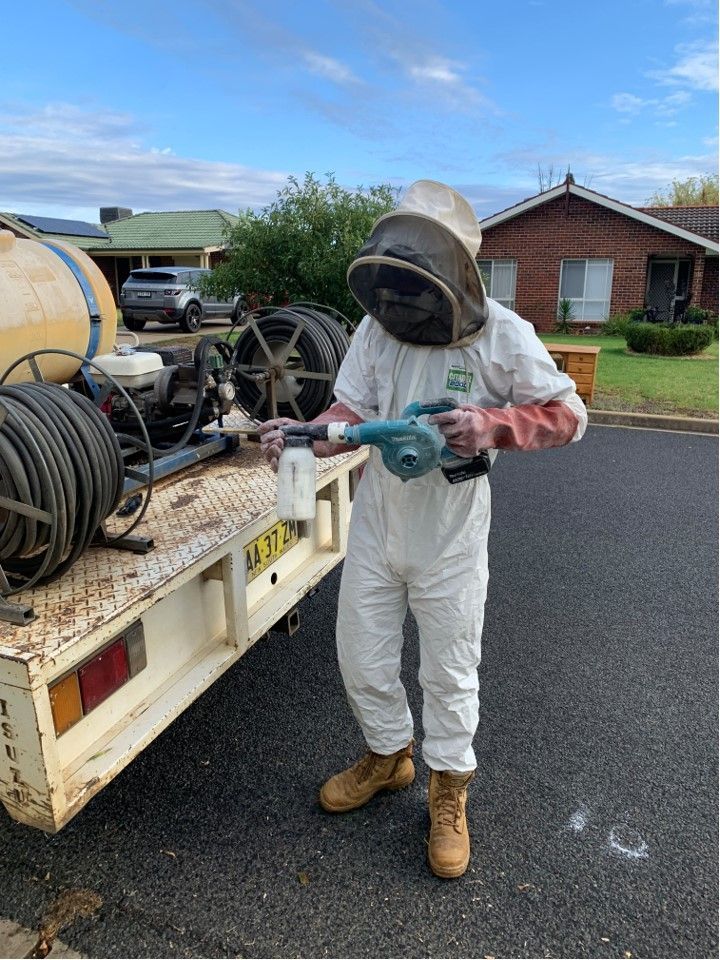 A worker spraying pesticide under the cupboard : Professional Pest Control in Wagga Wagga