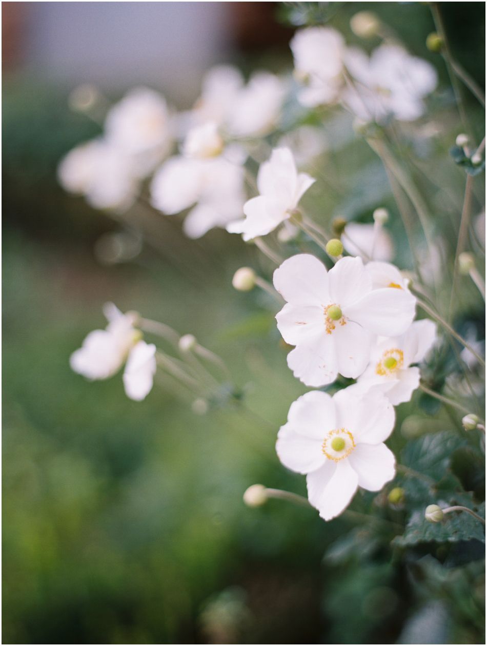 Maison de Claire Audrey 10