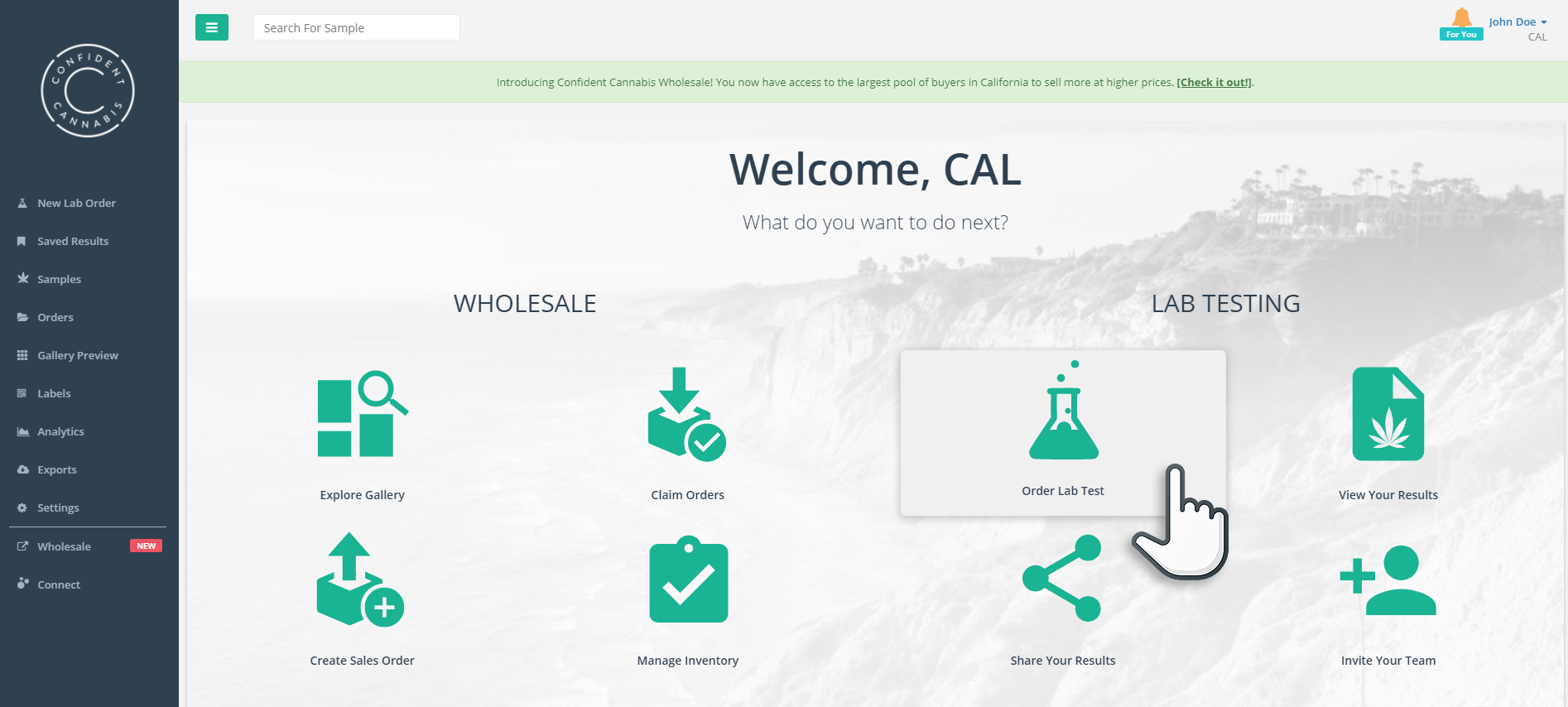A screenshot of a website with a hand pointing at the welcome cal button.