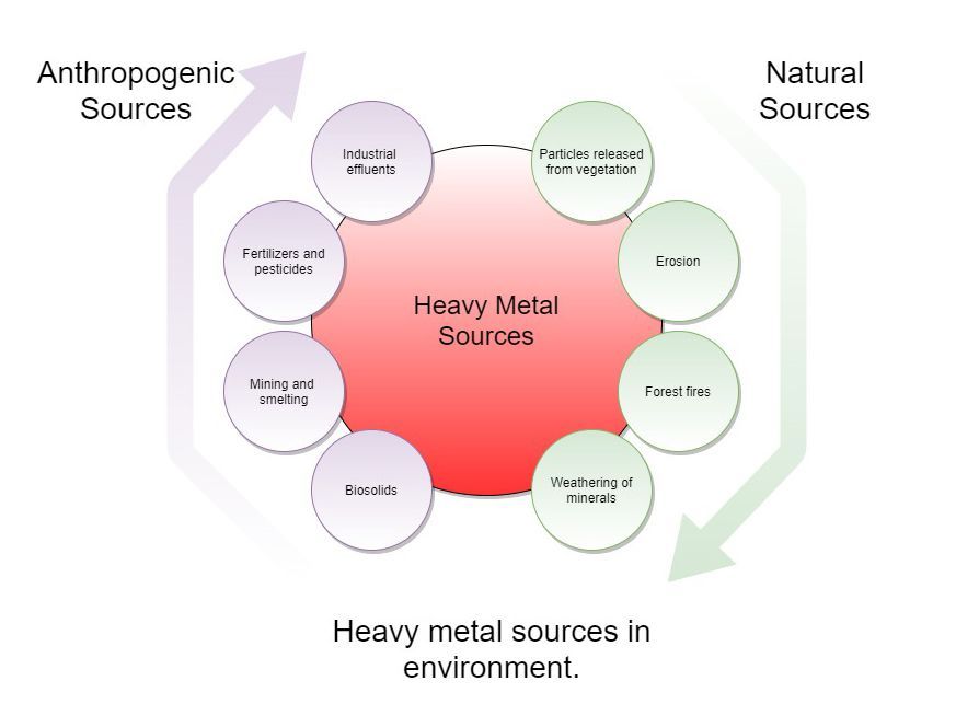 Heavy Metal Sources in Environment