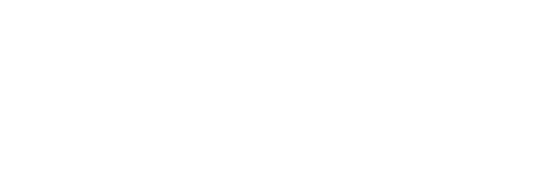 Michael Fink Law Logo White