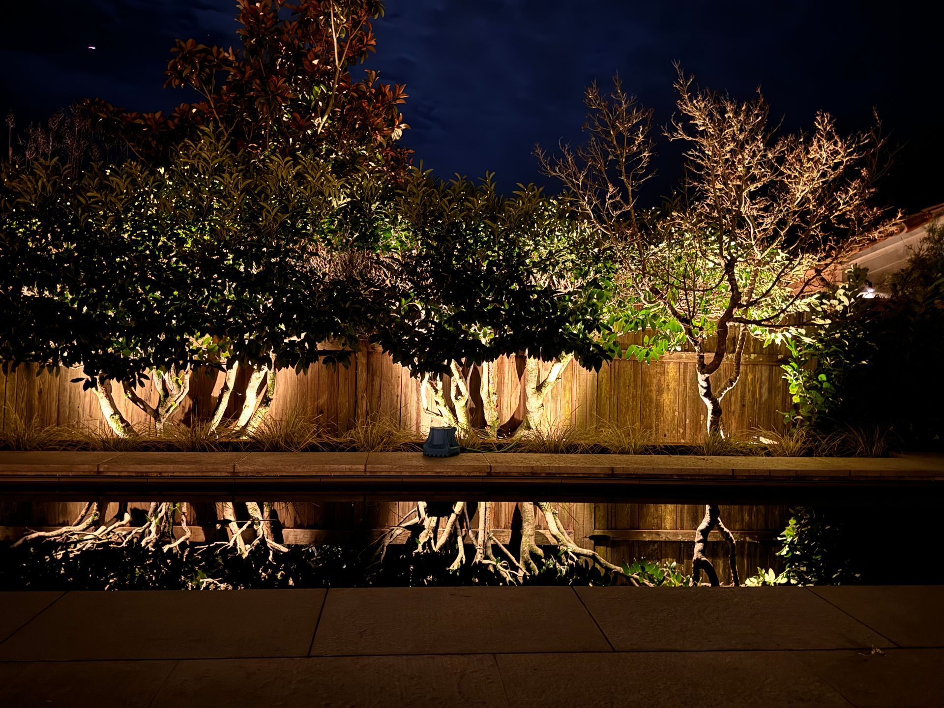 A fence with trees behind it is lit up at night.