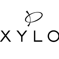 Il logo di "XYLO" presenta una lettera "P" stilizzata di colore nero sopra la parola, scritta con un carattere moderno e senza grazie.