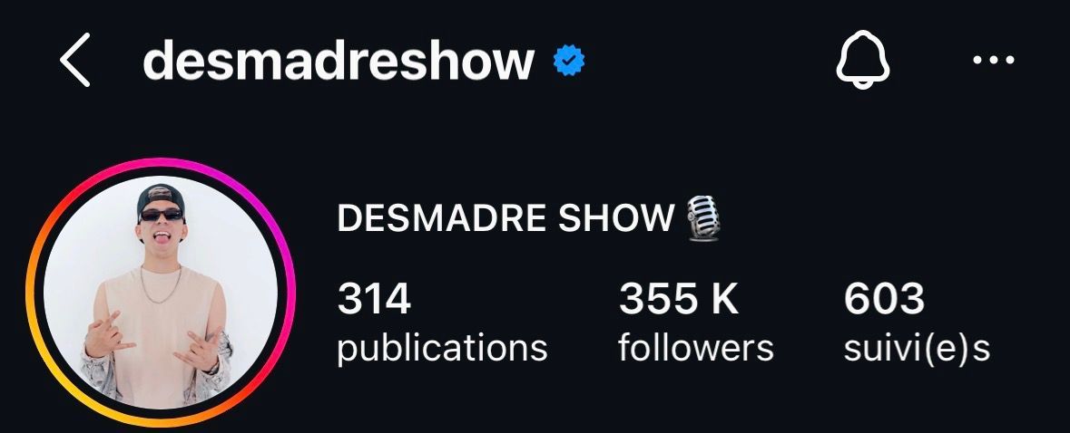 Perfil de Instagram de “desmadreshow” con insignia azul de verificación, 355.000 seguidores y una foto de perfil circular.