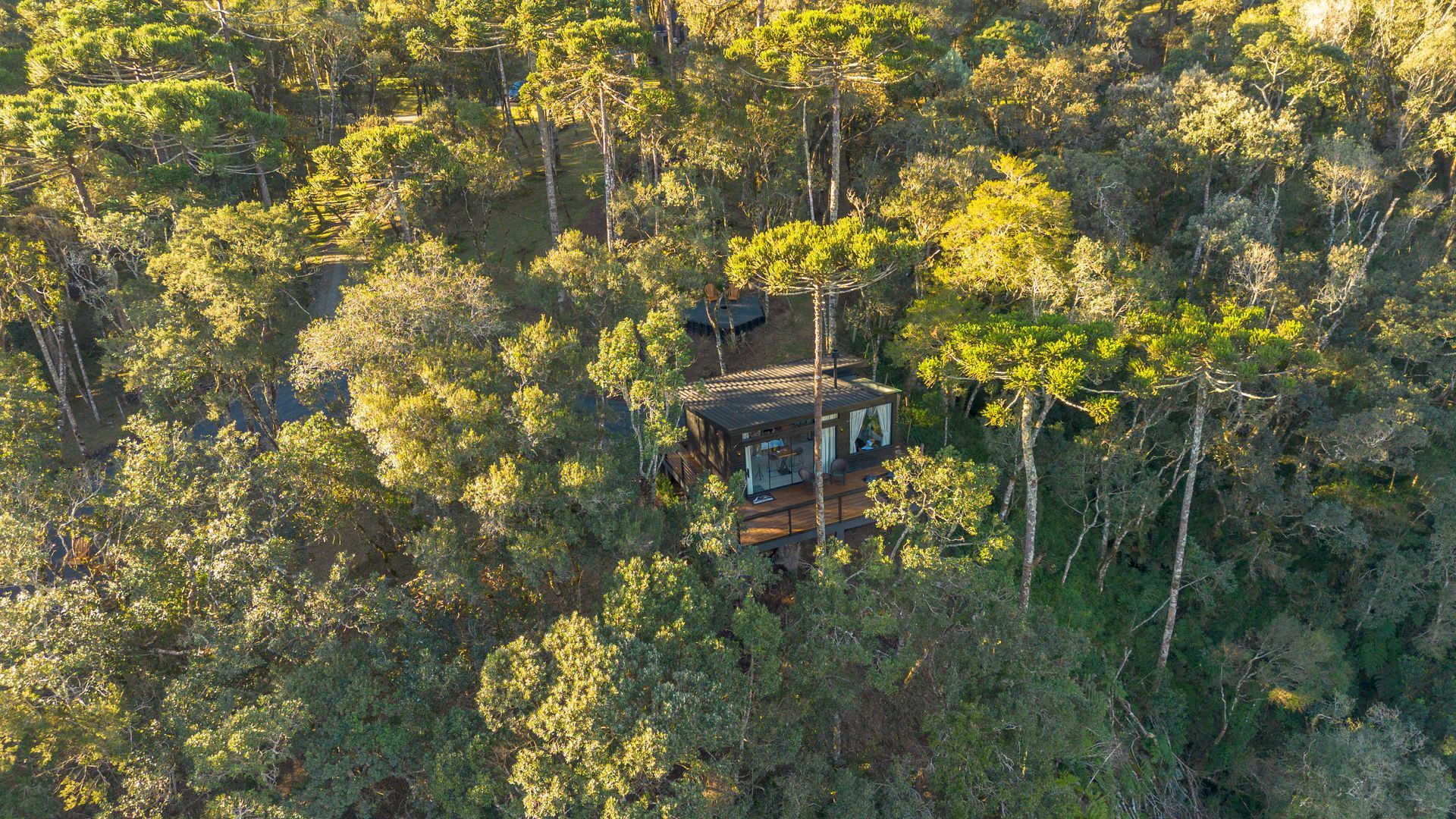 Uma pequena cabana aninhada entre árvores altas em uma floresta ensolarada.