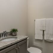 Bathroom with gray vanity, granite countertop, white towels, and a small plant.
