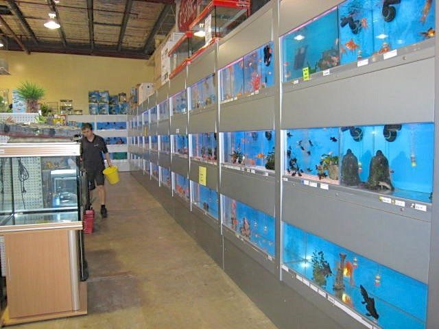 Boylans-Garden-Pet-image 12