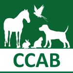 CCAB accreditation logo